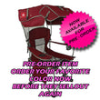Original Canopy Chair 2024 4th Generation "Tailgate edition"